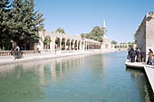 Urfa, Ayn i Zeliha, filled with sacred carps.